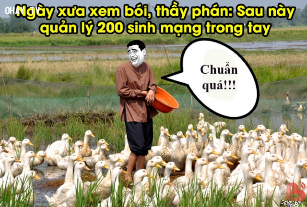 Đi xem bói , thầy bảo - 3