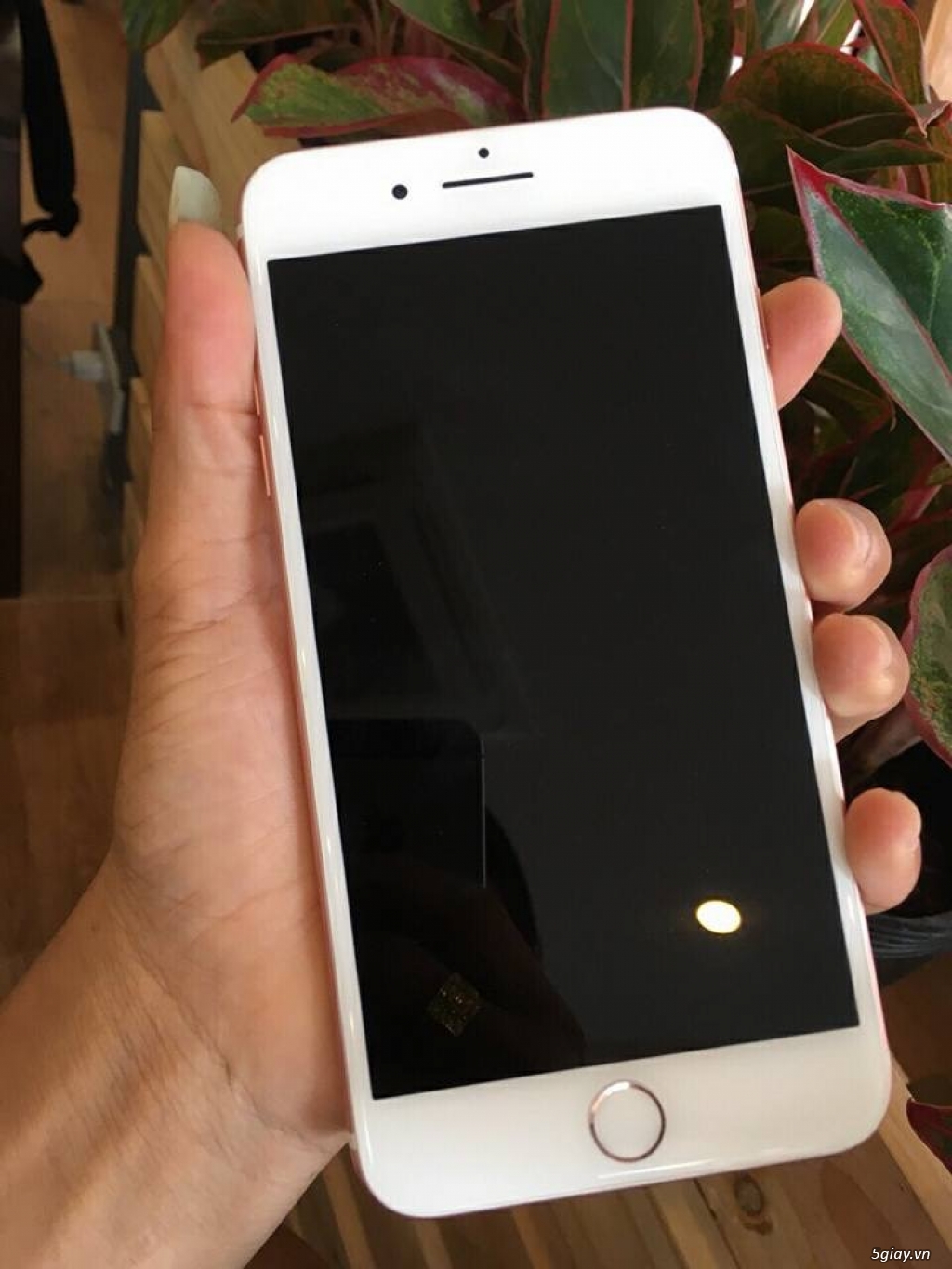 iPhone 7 Plus 32G lock mỹ đẹp 99,9% - 1