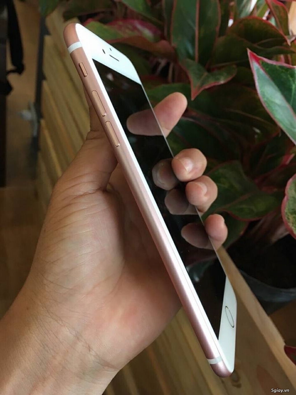 iPhone 7 Plus 32G lock mỹ đẹp 99,9% - 2