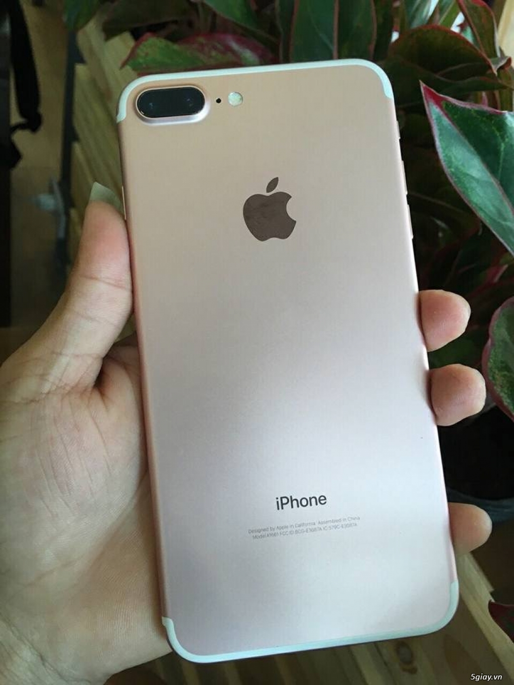 iPhone 7 Plus 32G lock mỹ đẹp 99,9% - 3