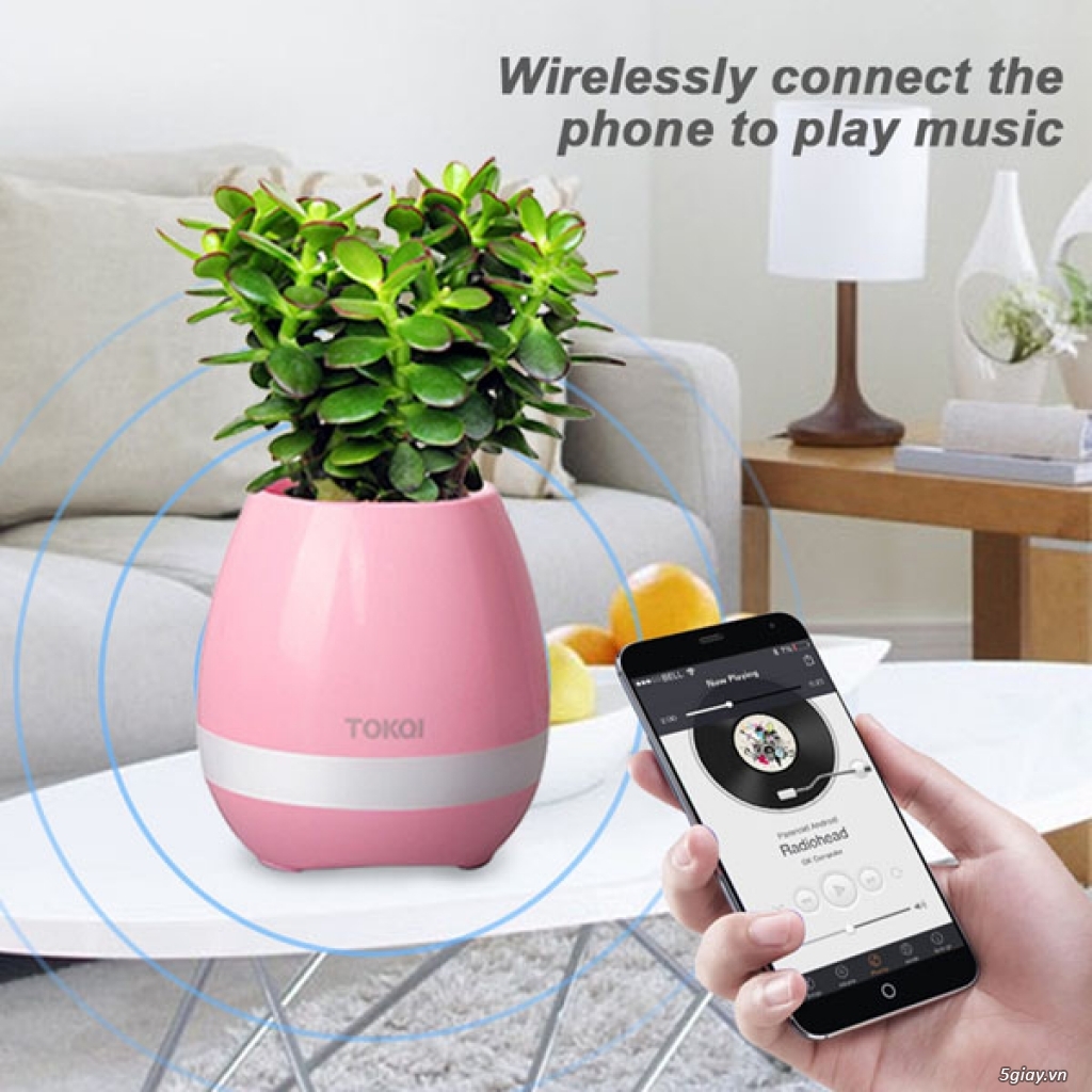 Loa Bluetooth cảm ứng Trồng cây thật - 1