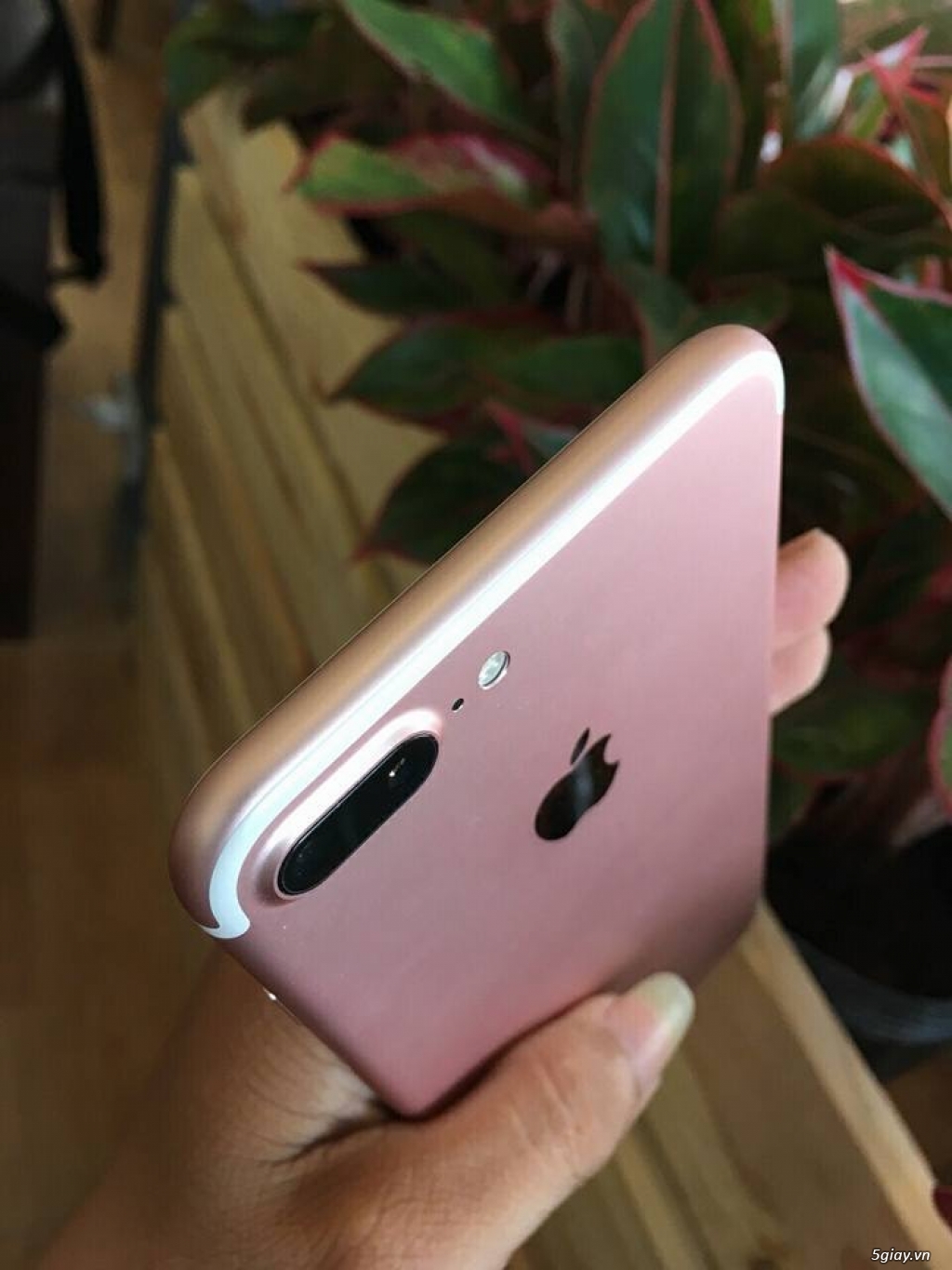 iPhone 7 Plus 32G lock mỹ đẹp 99,9%