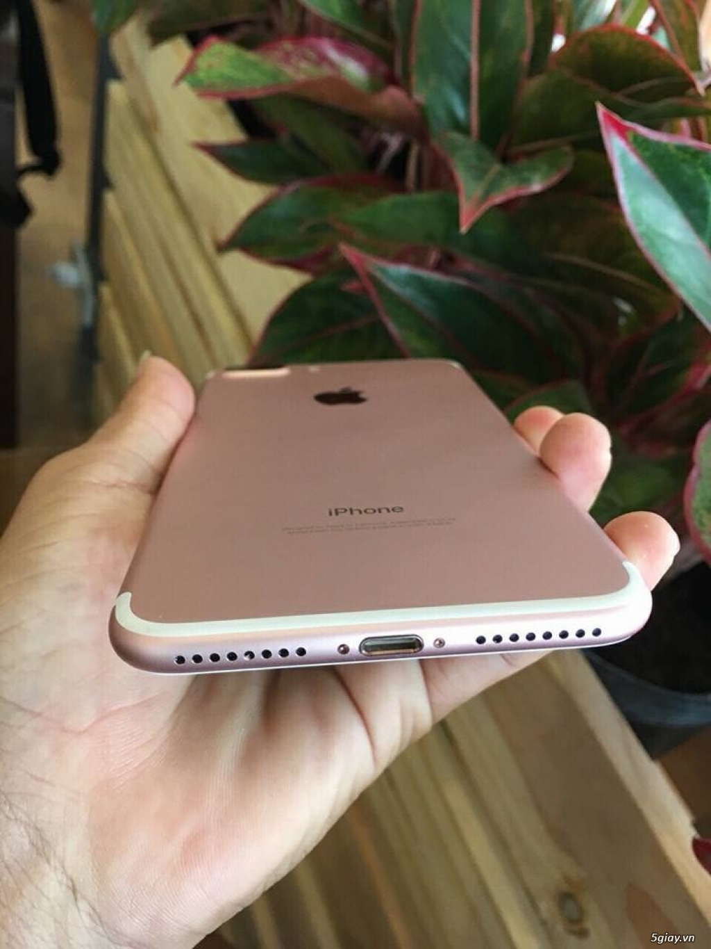 iPhone 7 Plus 32G lock mỹ đẹp 99,9% - 4