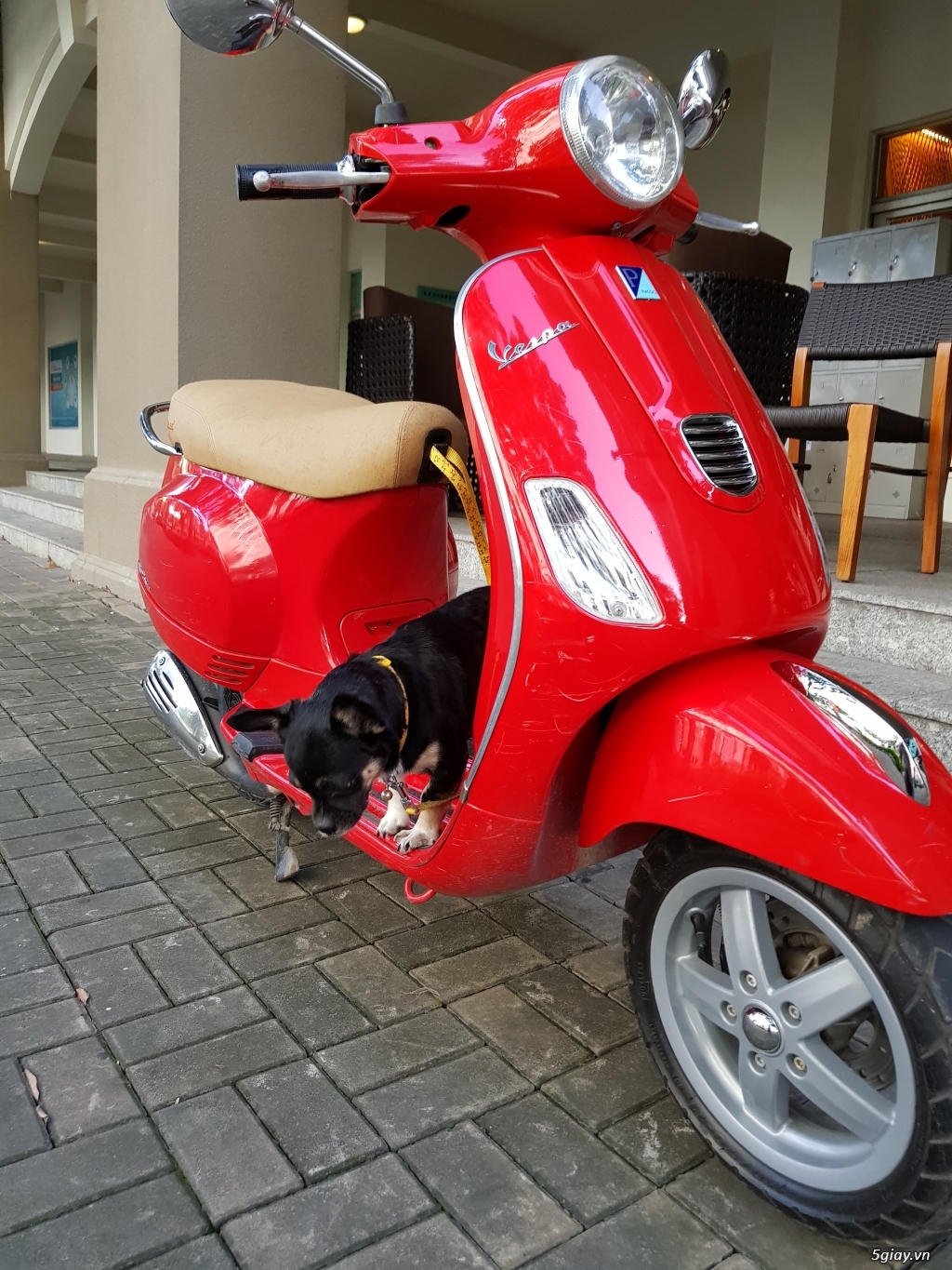 Vespa Lx 125 3Vie màu đỏ................