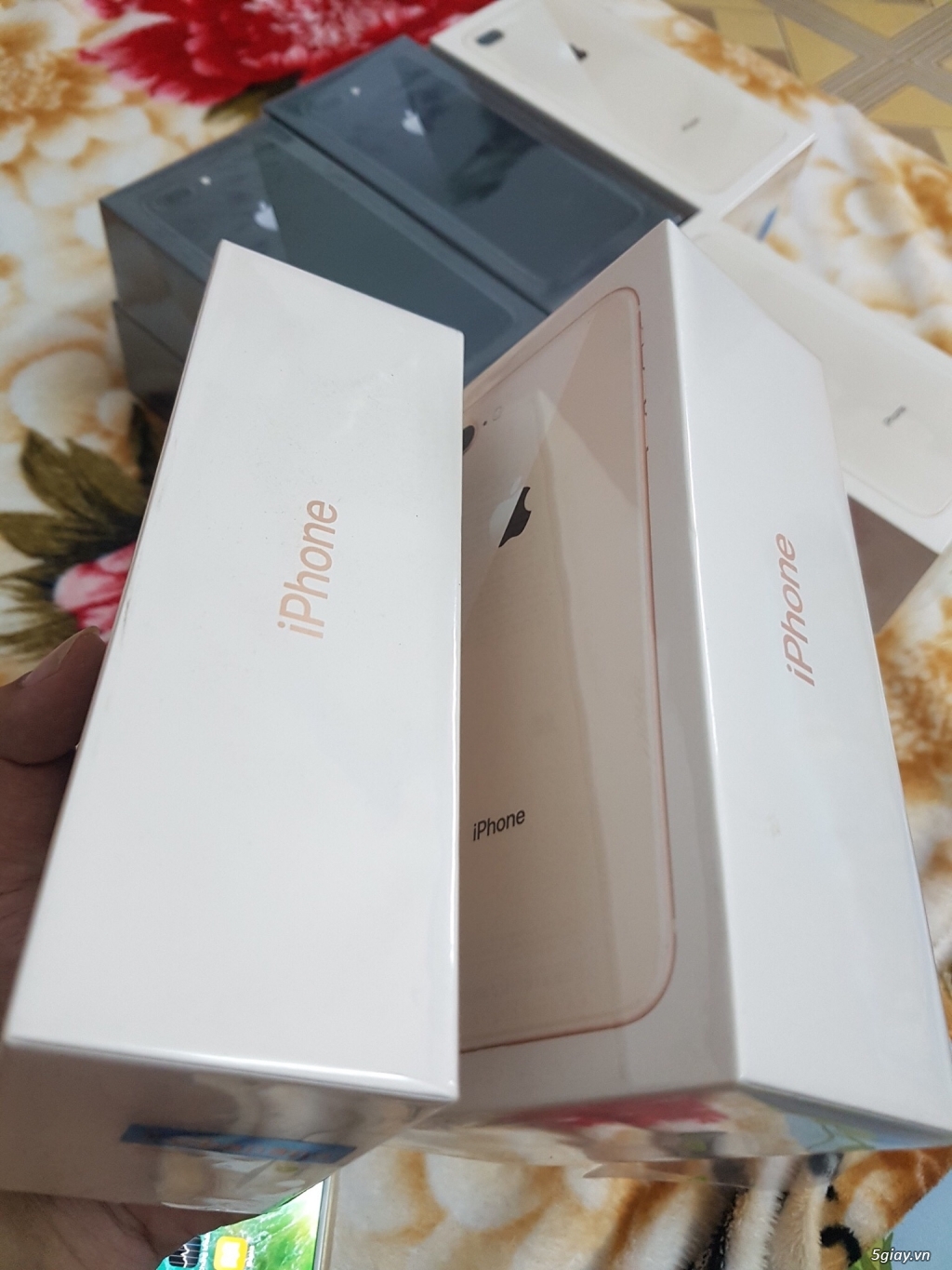 Iphone 8Plus 64G Quốc Tế New 100%