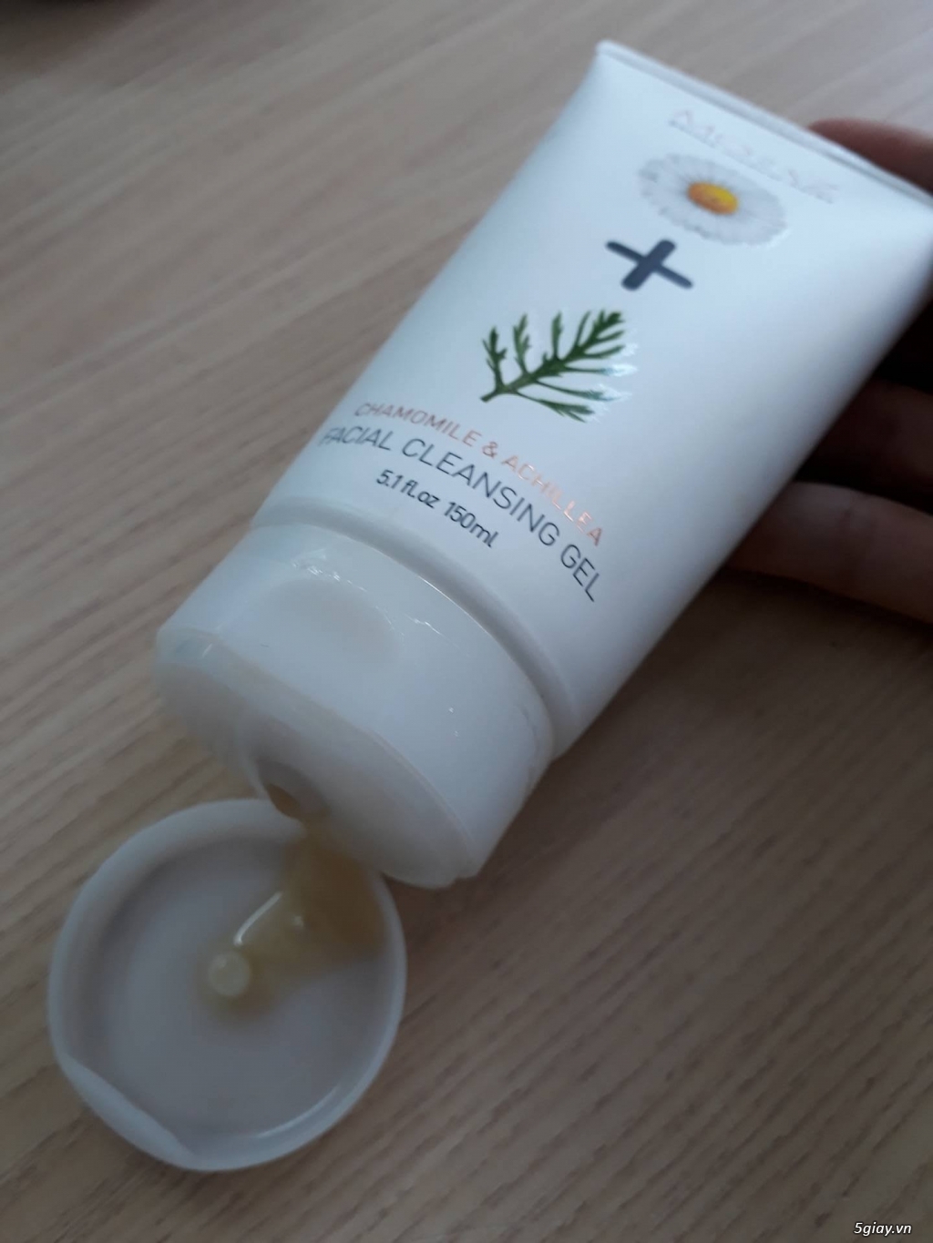 Sữa rửa mặt Do Thái - từ hoa cúc La mã