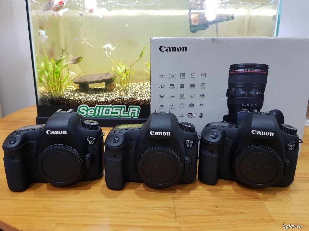 Canon 5D3/5D2/ 6D/ 60D/ Tam 24-70VC / 60F2 / 100F2.8 / 50F1.4/ 85F1.2 - 11