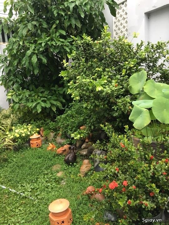 Cho thuê biệt thự phố q7 - 1