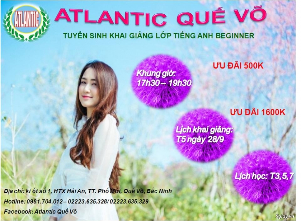 Atlantic Quế Võ tuyển sinh lớp tiếng Anh beginner