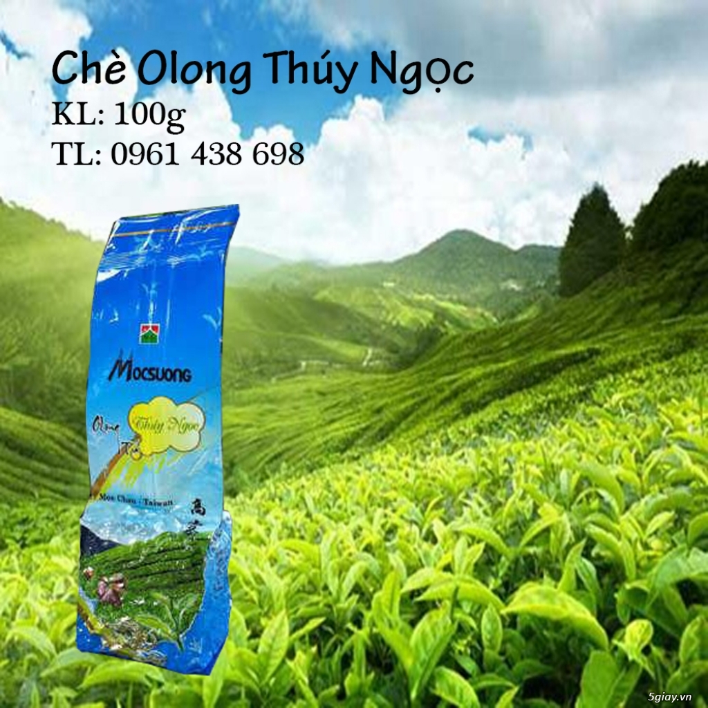 Trà Ô Long Mộc Sương - 3