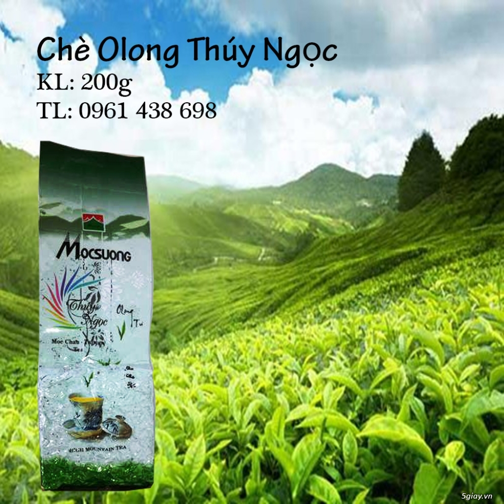 Trà Ô Long Mộc Sương - 2