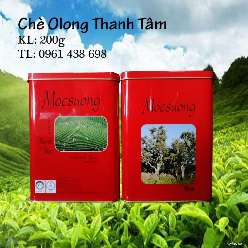 Trà Ô Long Mộc Sương - 1