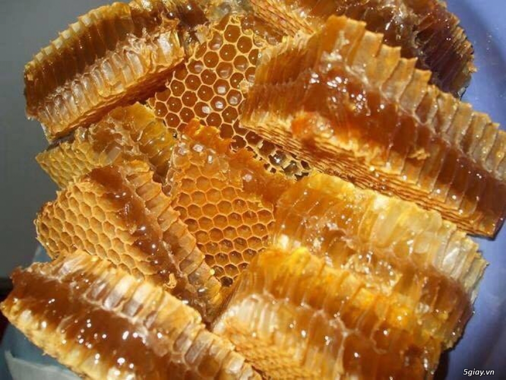 Mật ong rừng nguyên chất 100% - 6