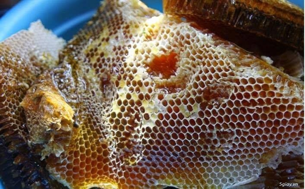 Mật ong rừng nguyên chất 100% - 7