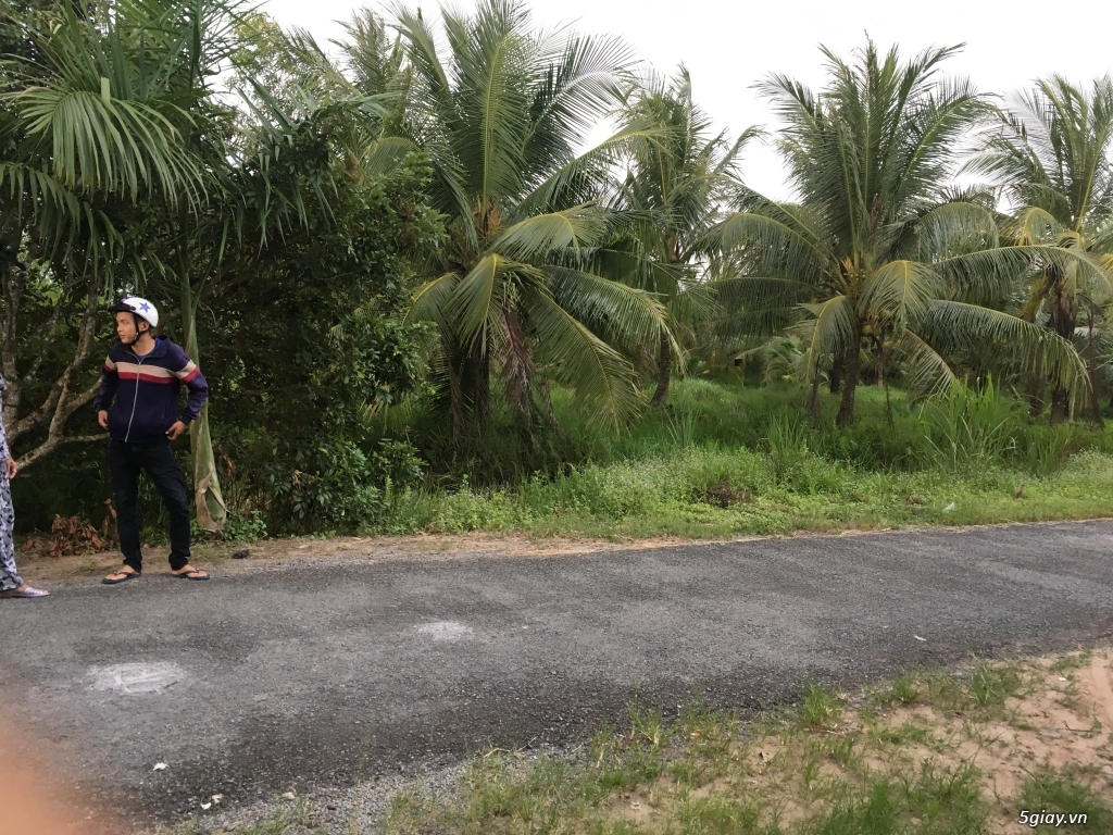 Đất nông nghiệp dt 9000m2 tại xã an phước huyện mang thít vĩnh long - 2