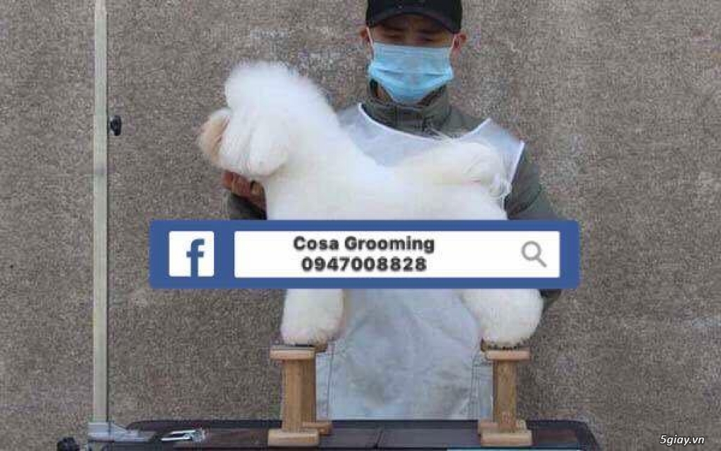 Cosa Grooming: Những Thiết bị, thuốc uống chuyên sâu dành cho thú cưng - 3