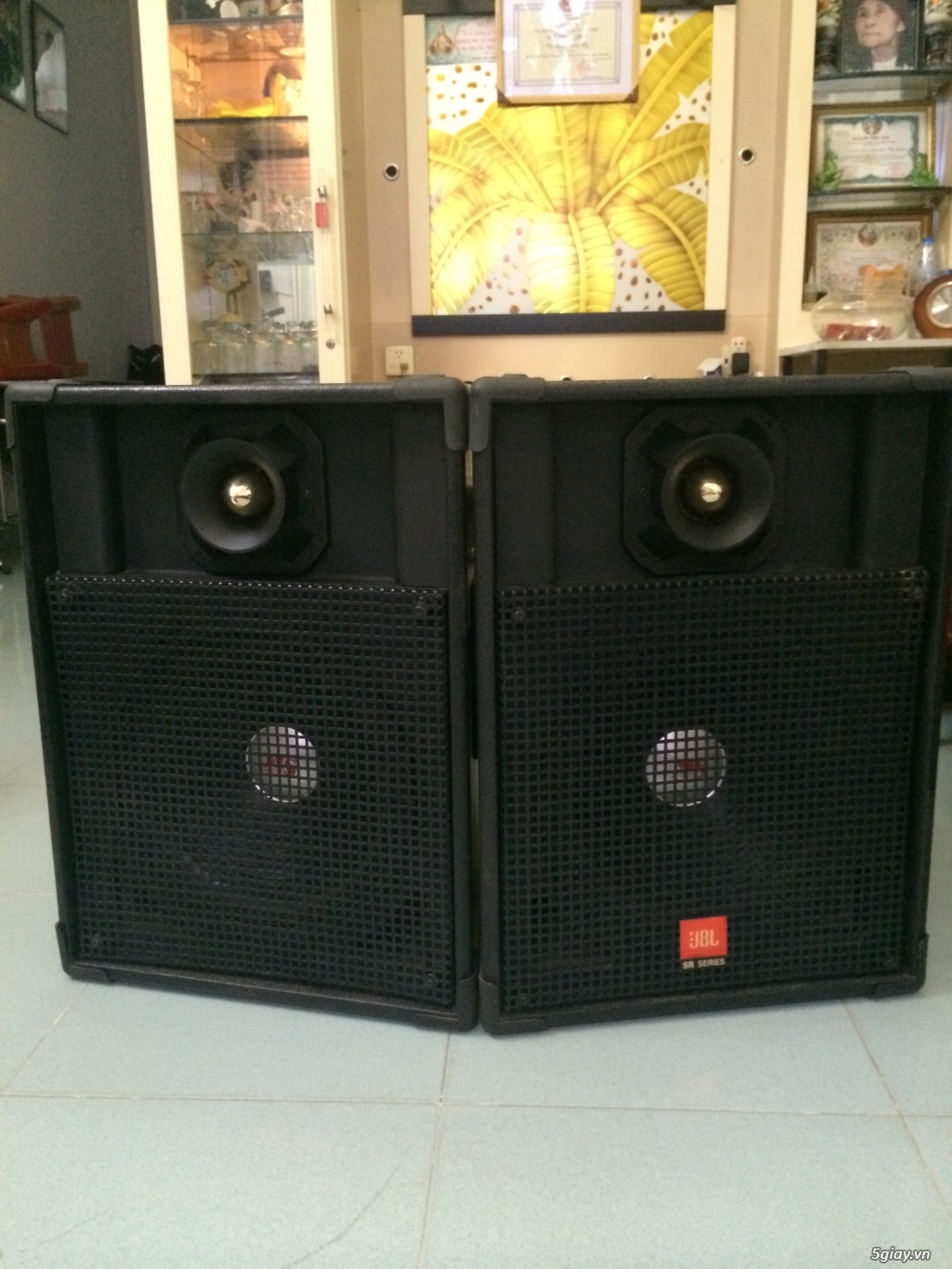 Cặp loa 4 tấc chép còi - 4