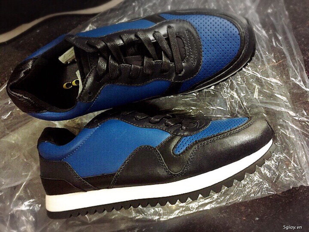 Giày coach xuất chính hãng full box - 3