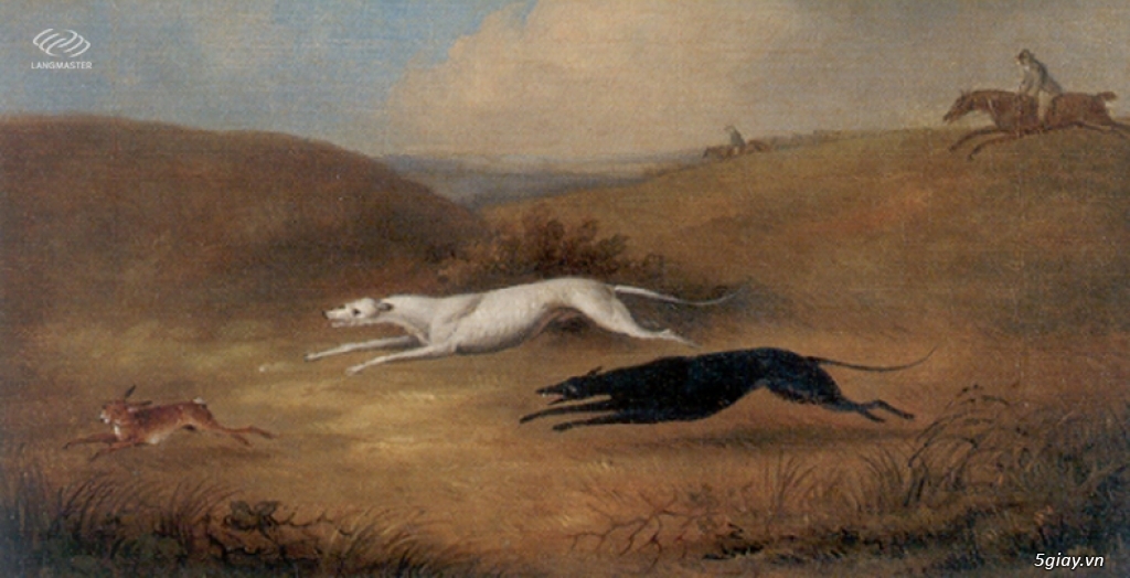 Thợ săn quản lý bầy chó..