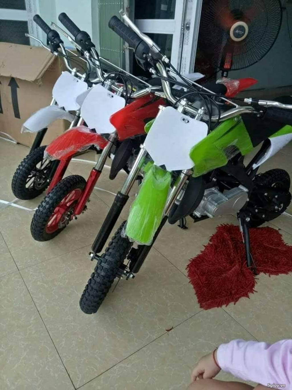 xe cào cào mini