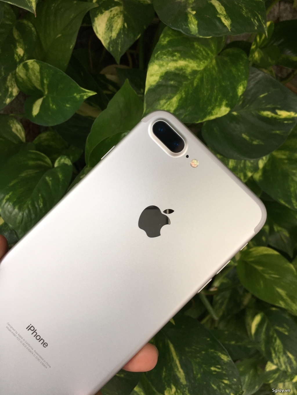 7 plus 32gb sliver xách tay Mỹ - 2