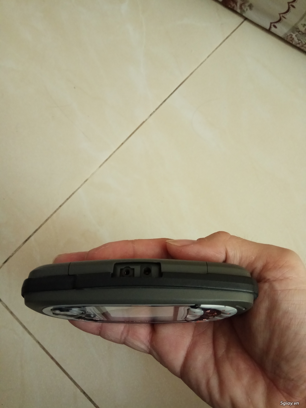 Dư cây Ngage QD 600k