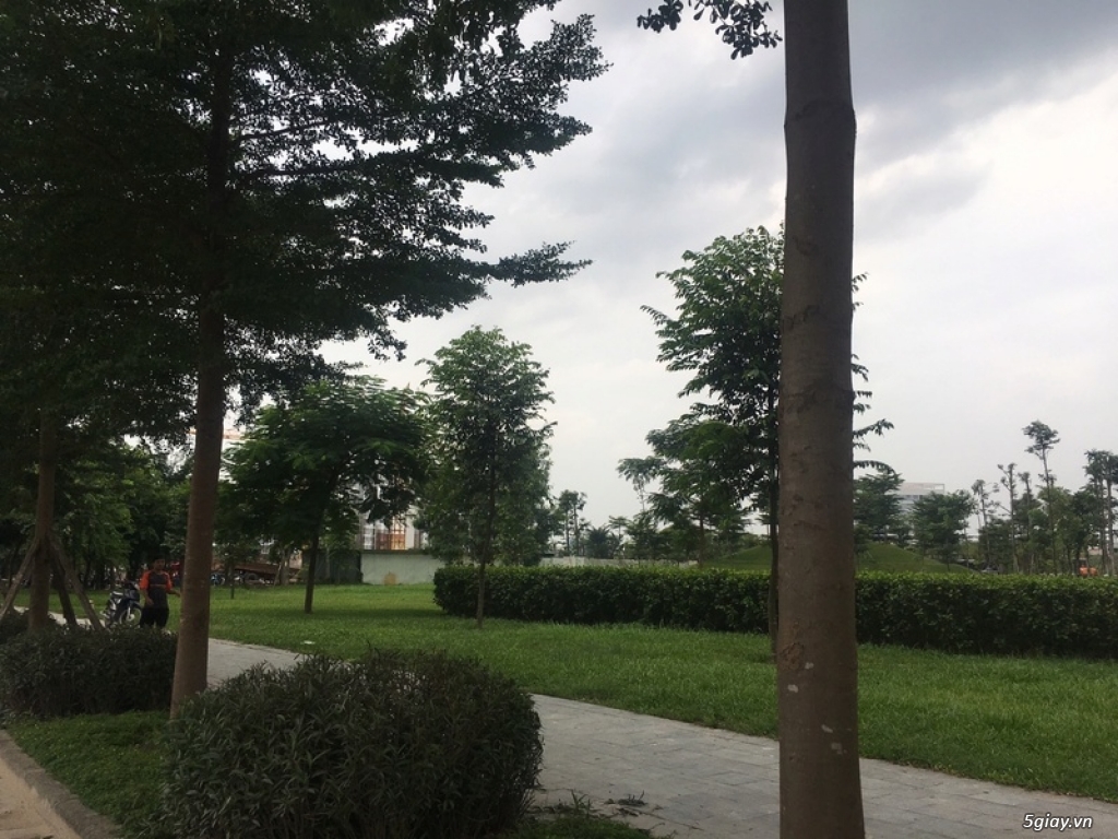 Nhìn tận mắt cảnh quan công viên cây xanh 250_Tỷ của Chủ Đầu Tư Hồng H - 3