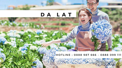 DU LỊCH MÙA THU 2017 - 7