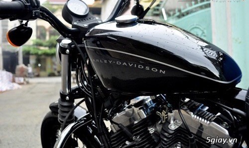Bán Harley Davidson Nightster 1200cc bản nội địa Mỹ 2015 - 4