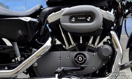 Bán Harley Davidson Nightster 1200cc bản nội địa Mỹ 2015 - 5