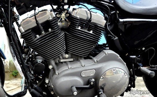 Bán Harley Davidson Nightster 1200cc bản nội địa Mỹ 2015 - 7