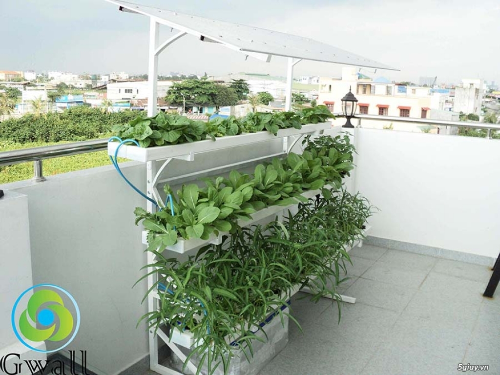 Cung cấp phụ kiện trồng rau sạch tại nhà, hệ thống thủy canh, dinh dưỡng thủy canh ! - 10