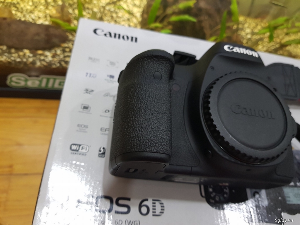 Canon 6D Fullbox và Canon 85F1.2 L Mark ii mới keng - 6