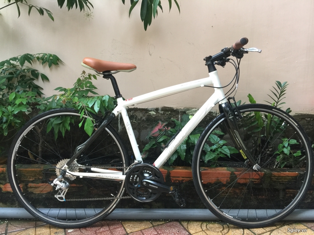 Specialized touring Alu/Carbon 27speed