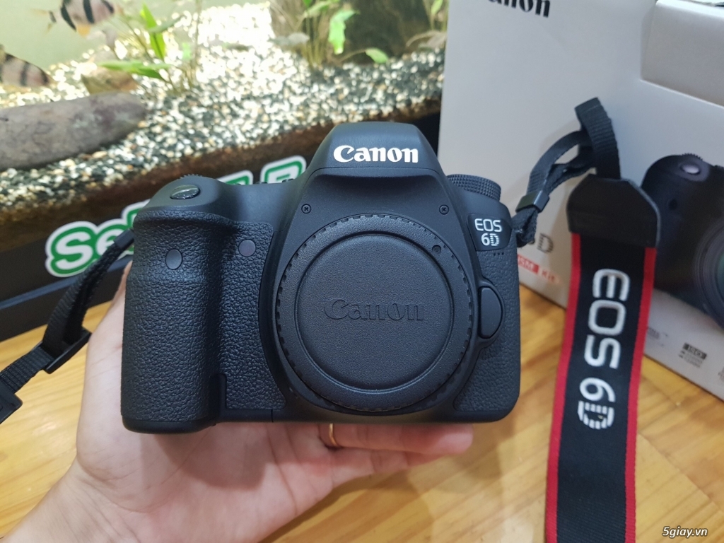 Canon 6D Fullbox và Canon 85F1.2 L Mark ii mới keng