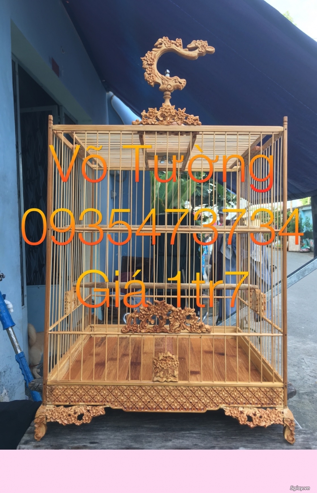 Chuyên sĩ lồng chim võ tường