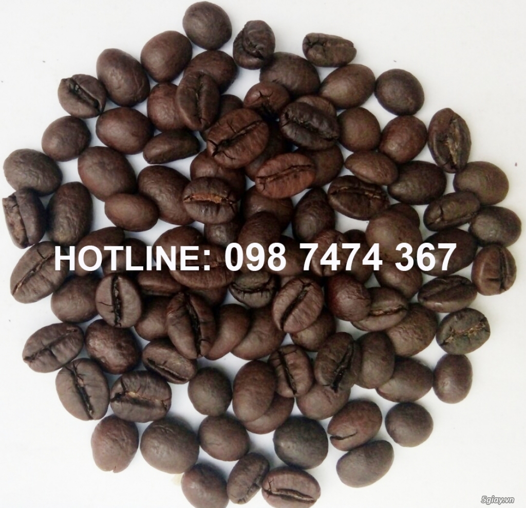 Cafe giá sỉ cho quán