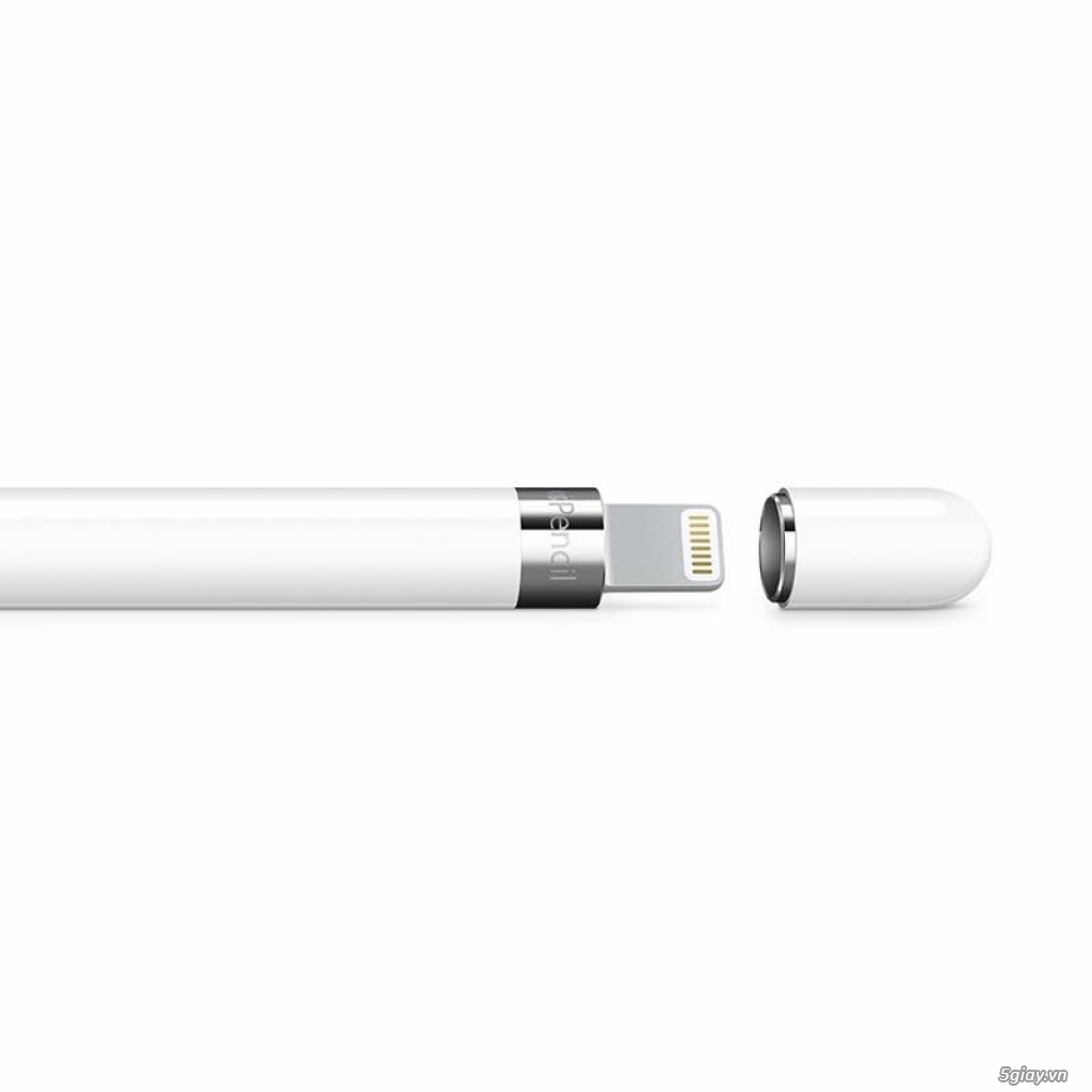 Apple Pencil chính hãng Apple - 1