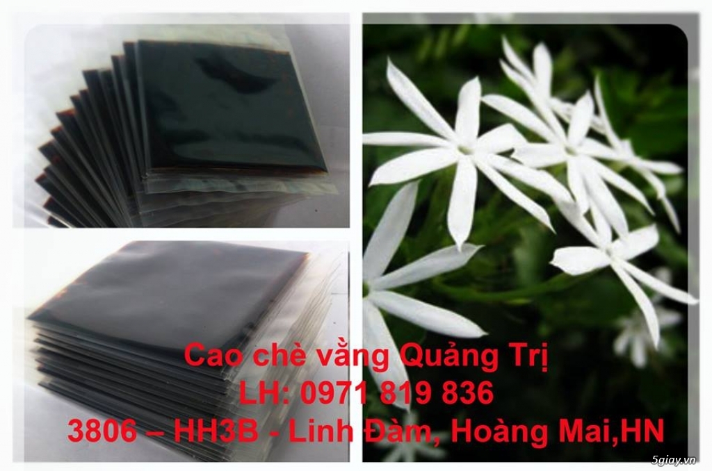 Cao Chè Vằng Quảng Trị - 1