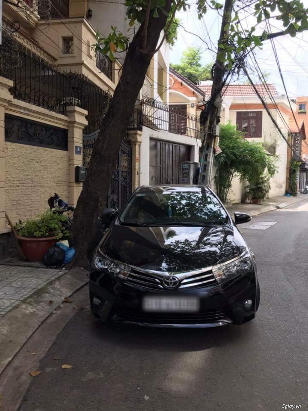 Thuê Xe Tự Lái 4 - 7 - 16 Chỗ - 5