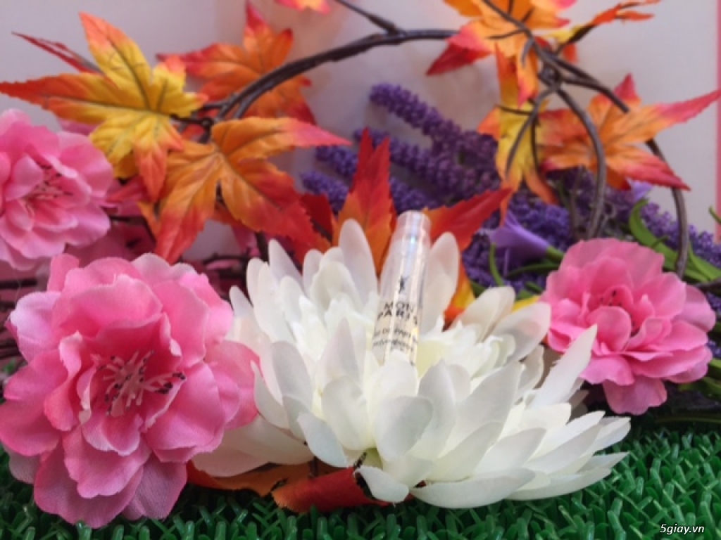 Nước Hoa Xách Tay Nhập Khẩu Từ Mỹ - 15