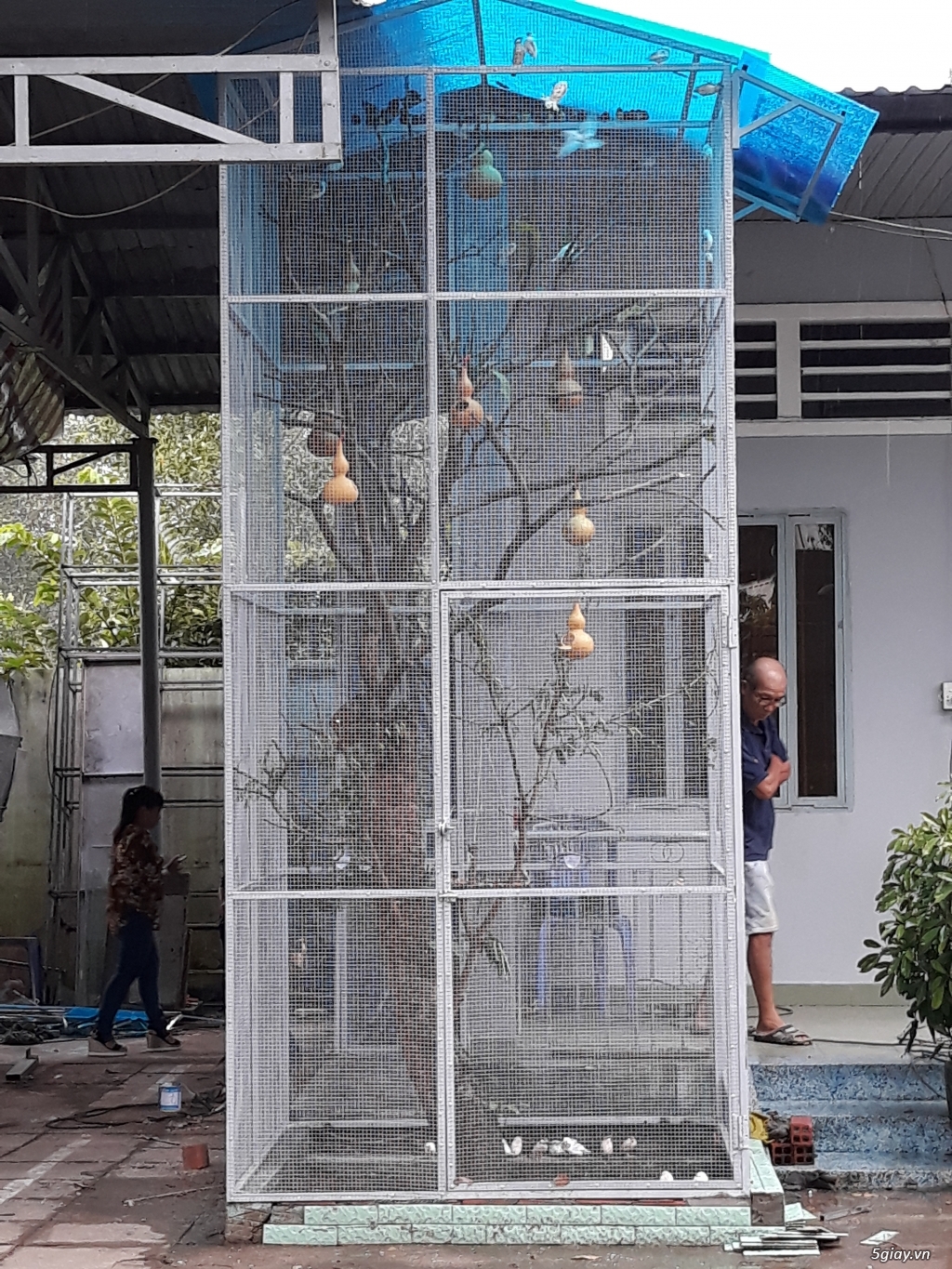 Chuồng gà và chuồng chim. - 23