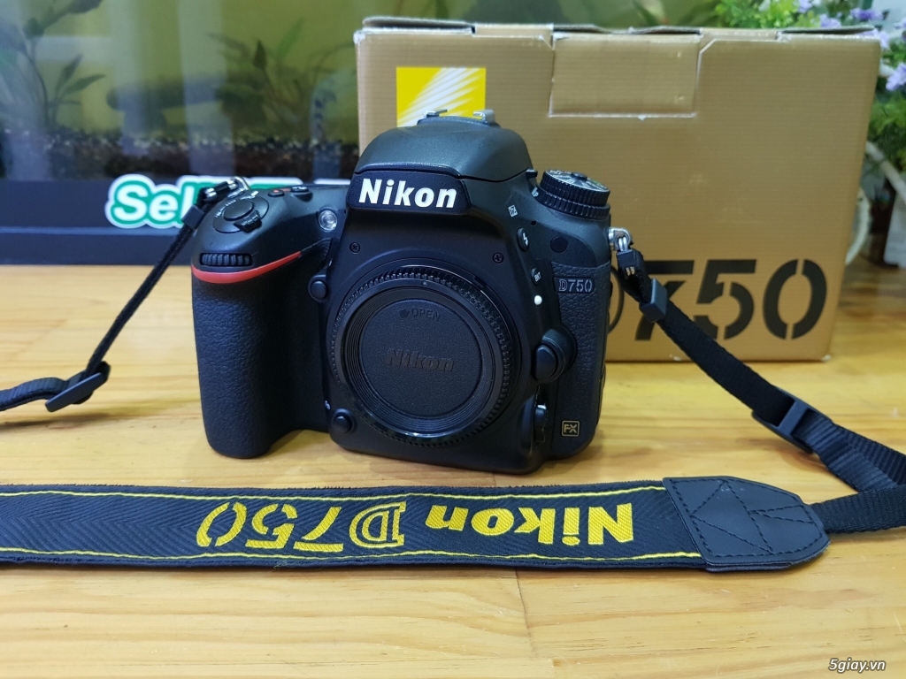 Nikon D810/D750/24F1.8 Nano/ 50F1.8G/35G/40F2.8G/70-200F2.8VR/18-105VR - 9