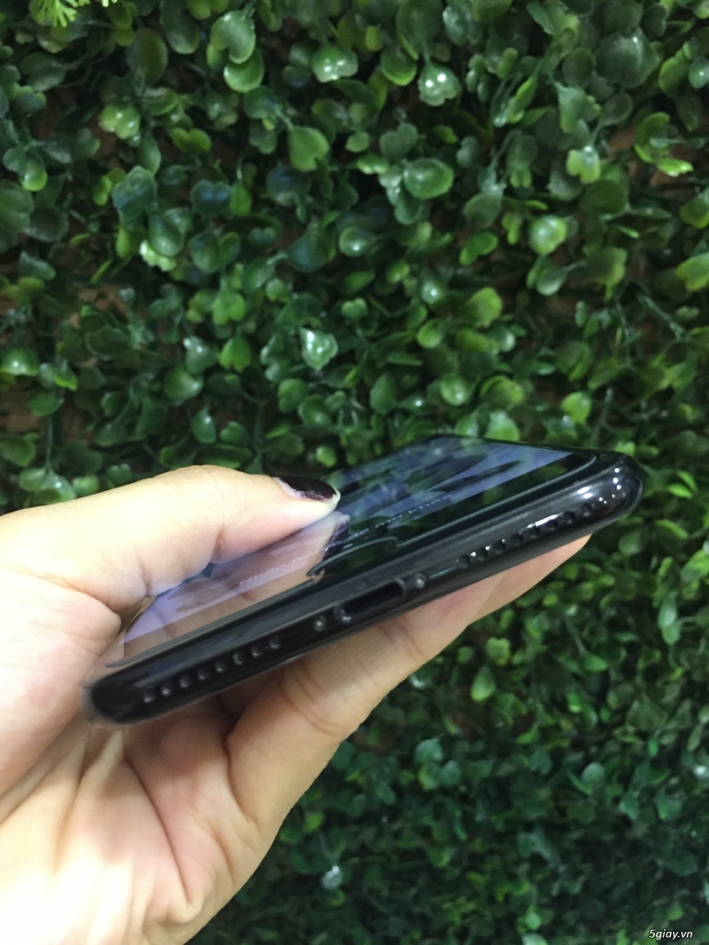 iPhone 7Plus 128GB và iPhone 8 64GB - 1