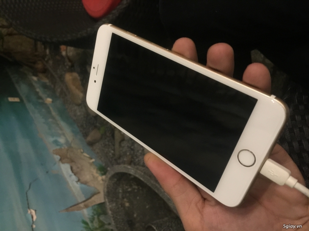 6 plus gold leng keng zin all - 2