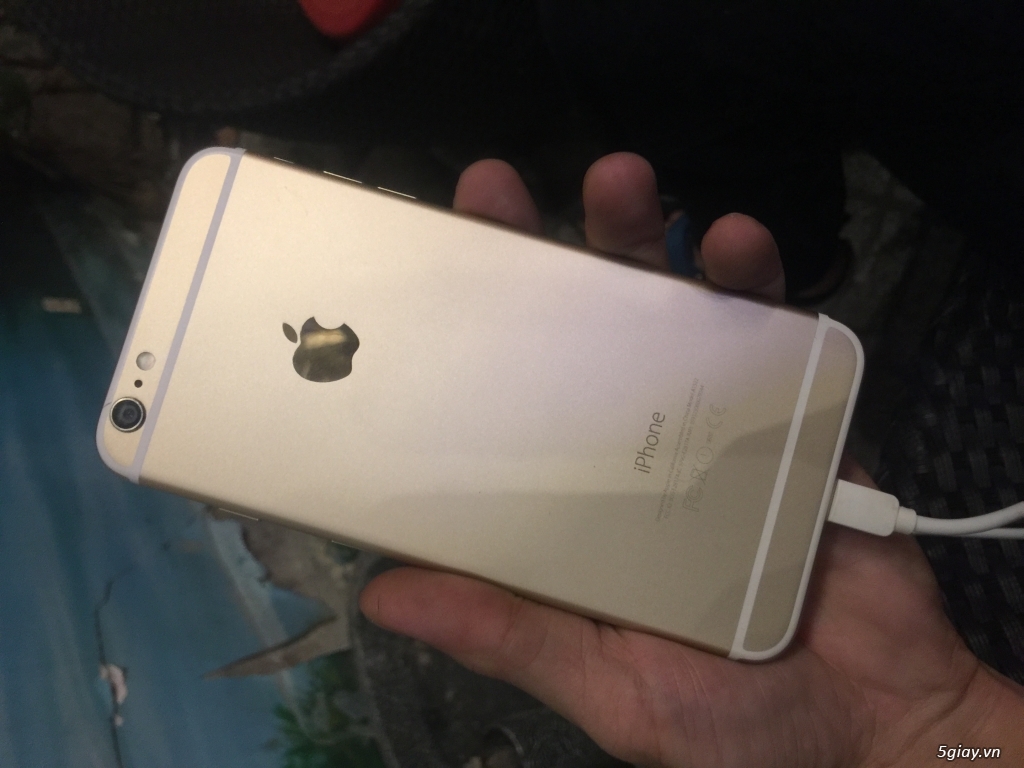 6 plus gold leng keng zin all - 1