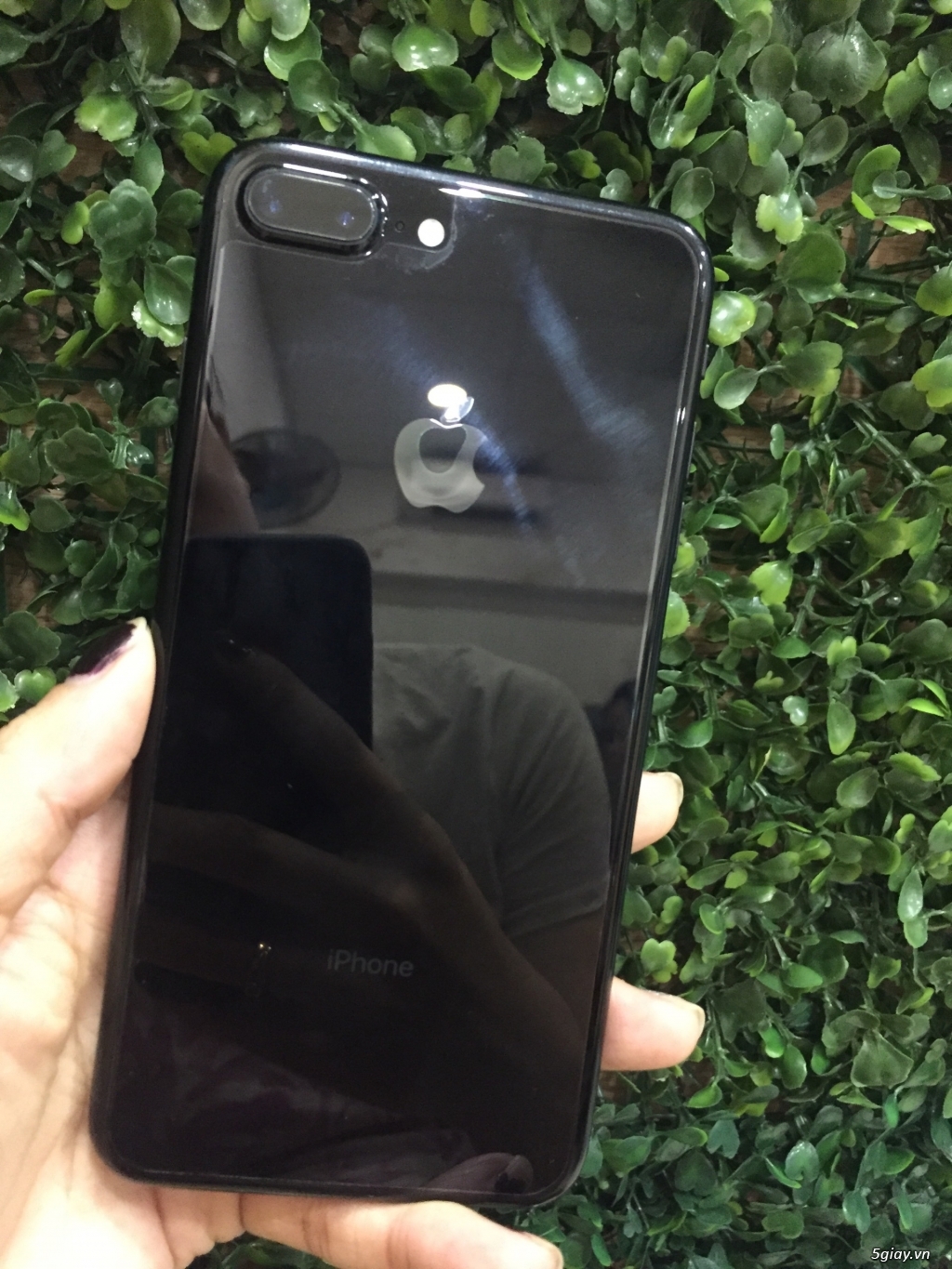 iPhone 7Plus 128GB và iPhone 8 64GB - 3
