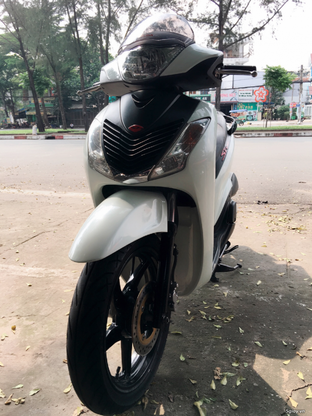 Sh 150i Nhập Ý 2009 - 1