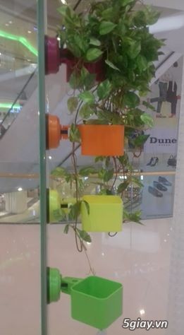Móc treo tường - móc hít chân không