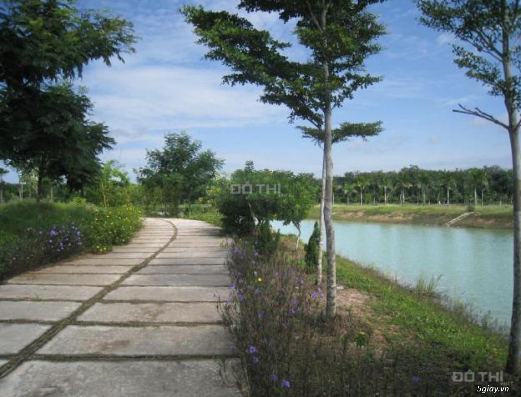 Cần bán gấp lô đất 5000m2, Phú Hội, Nhơn Trạch. Giảm giá kịch sàn - 1